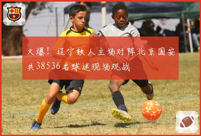 火爆！辽宁铁人主场对阵北京国安共38536名球迷现场观战