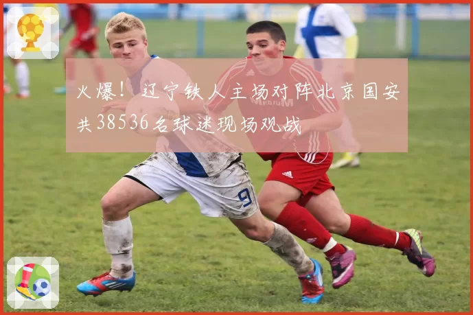 火爆！辽宁铁人主场对阵北京国安共38536名球迷现场观战