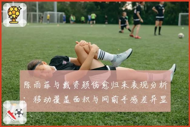 陈雨菲与戴资颖伤愈归来表现分析：移动覆盖面积与网前手感差异显著
