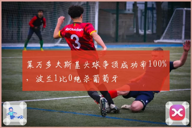 莱万多夫斯基头球争顶成功率100%,波兰1比0绝杀葡萄牙
